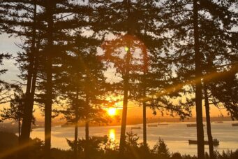 #8 - 5110 Alderfeild Place